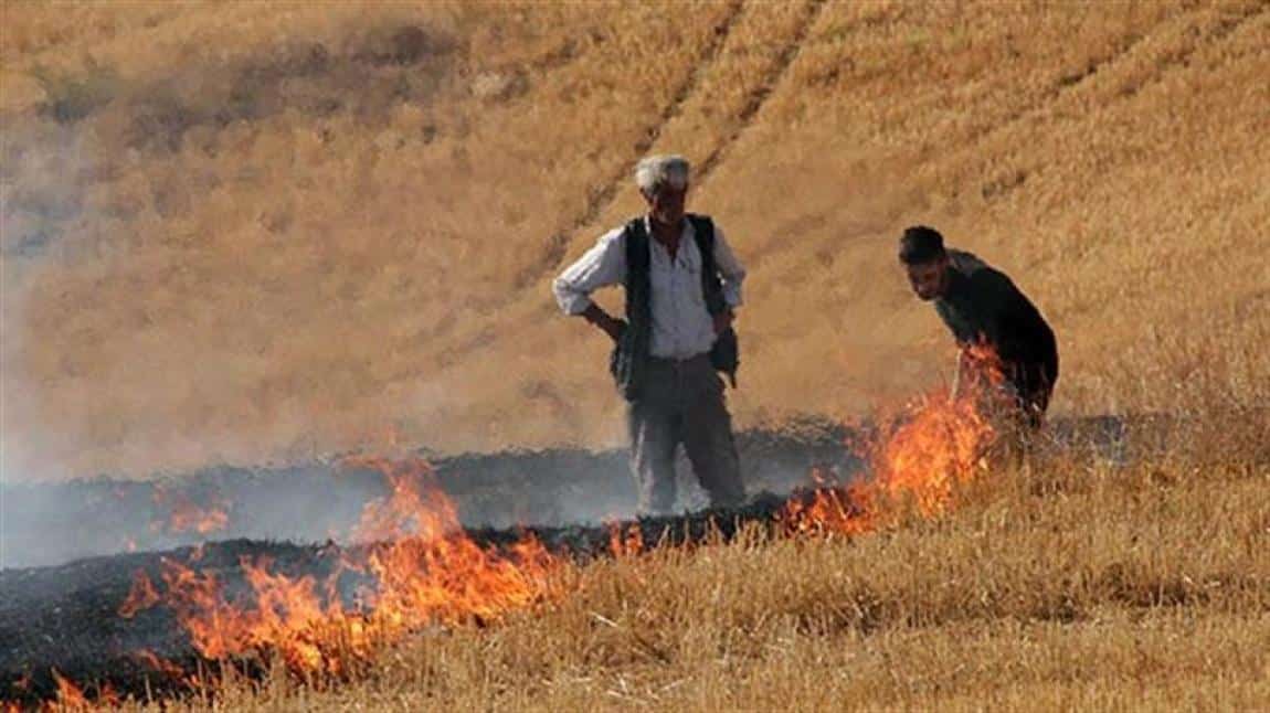 Anız Yangınları Ve Zararları